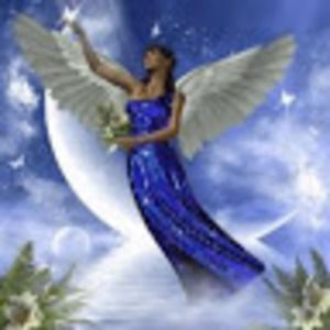 Meet your Posher, Ward